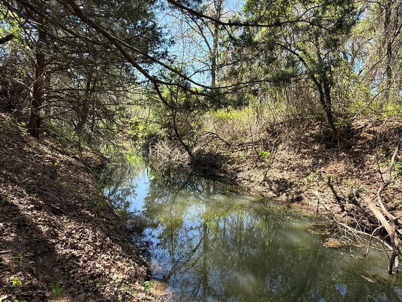 21 +/- Acres with Ritchie Creek