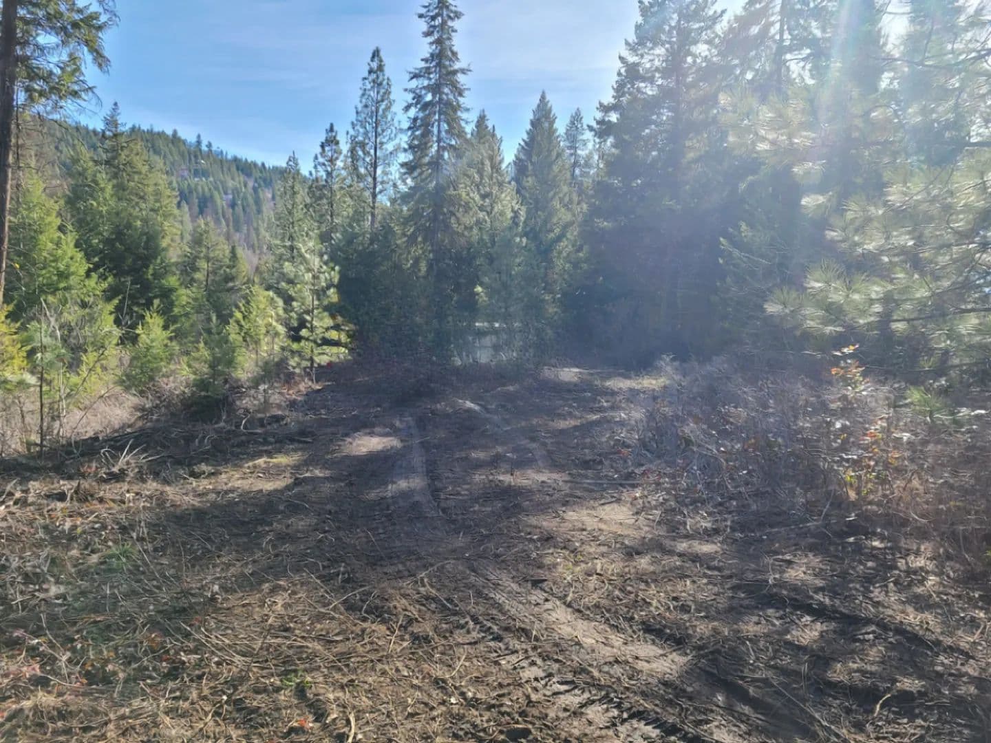 Vacant Land (0-10 Acres) in Kettle Falls - Kettle Falls, Washington, 99141