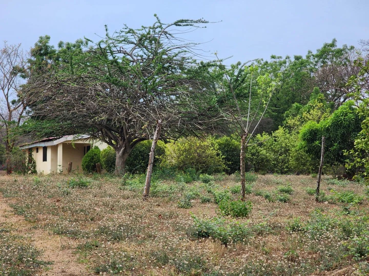 Se Vende! Amplio terreno con casa Camino a Nuevo Millenium. Veracruz. - land for sale