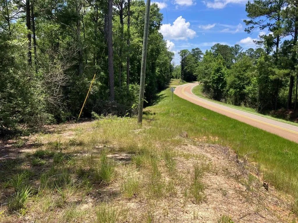 7 acres near Sandy Hook, Mississippi - Sandy Hook, Mississippi, 39667