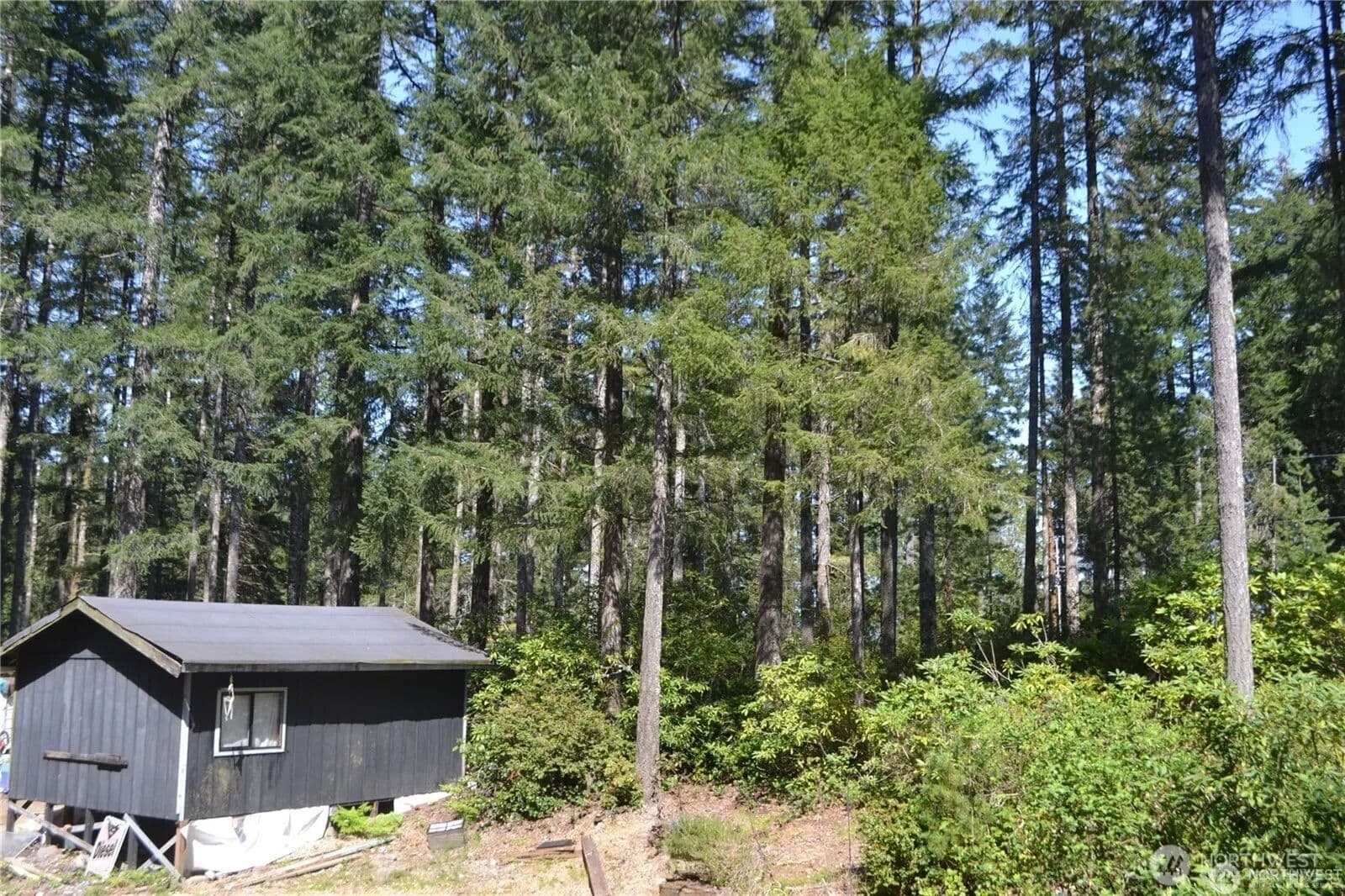 Vacant Land in Tahuya - Tahuya, Washington, 98588