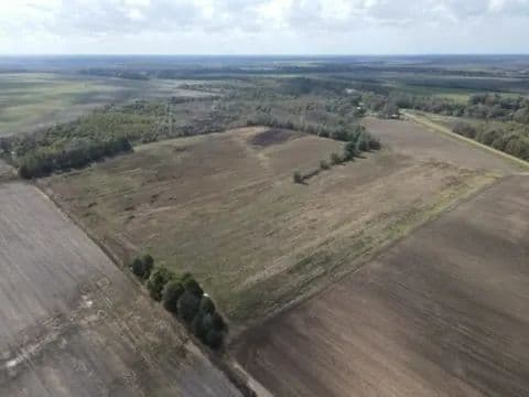 40 Acres in Humphreys County, MS