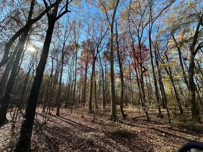 Hatton Timber and Rec Tract