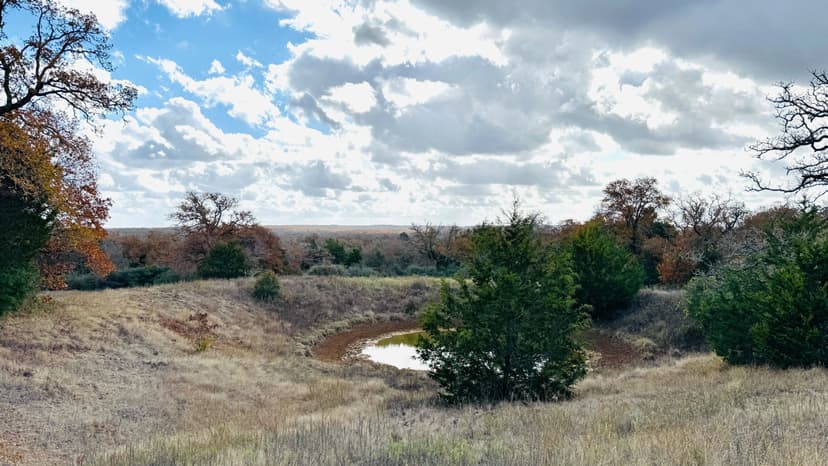 147.76 Acres in Milam County