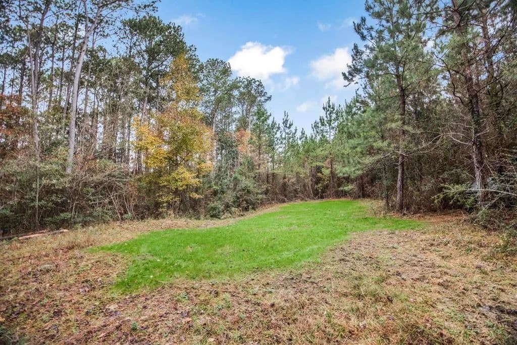 46+- Acres Connected to Homochitto Forest for Sale - Gloster, Mississippi, 39638