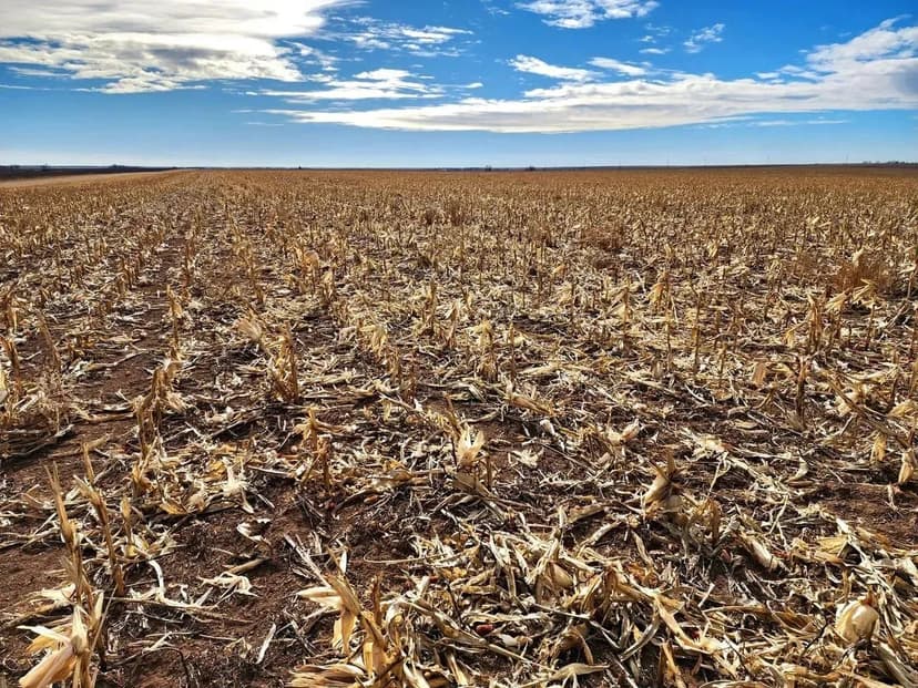 Section of Prime Cropland/Pasture with Mostly Class II Soils