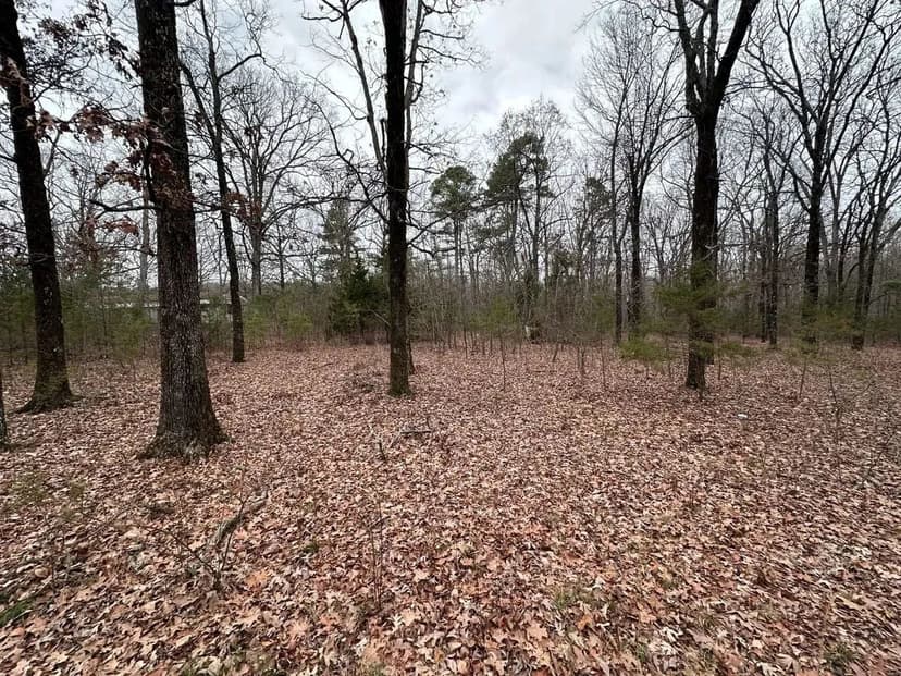 1+/- Acre, NO Restrictions, Cleburne County, Concord, Arkansas