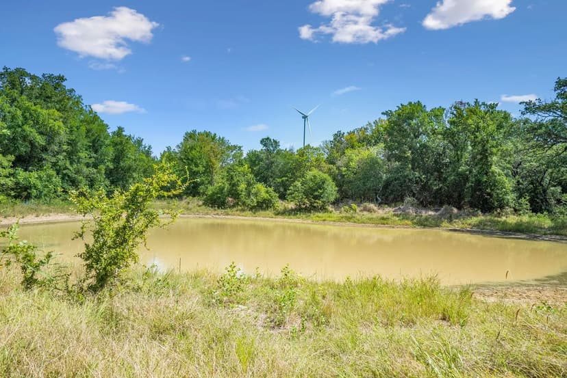 INCOME PRODUCING PROPETY - 2/3 OF SELLER'S WIND RIGHTS WILL CONVEY!!! 172+/-Acres Armstrong Ln Bryson, TX