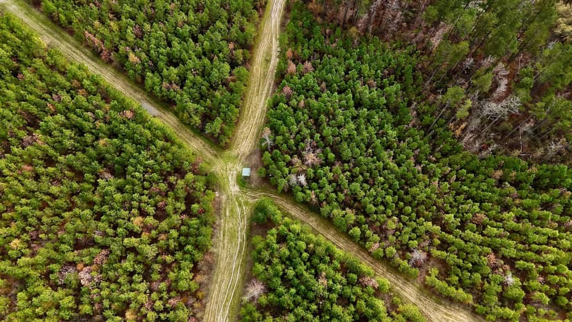 65+/- Acre Hunting Property and Homesite Near Kitterlin Bay