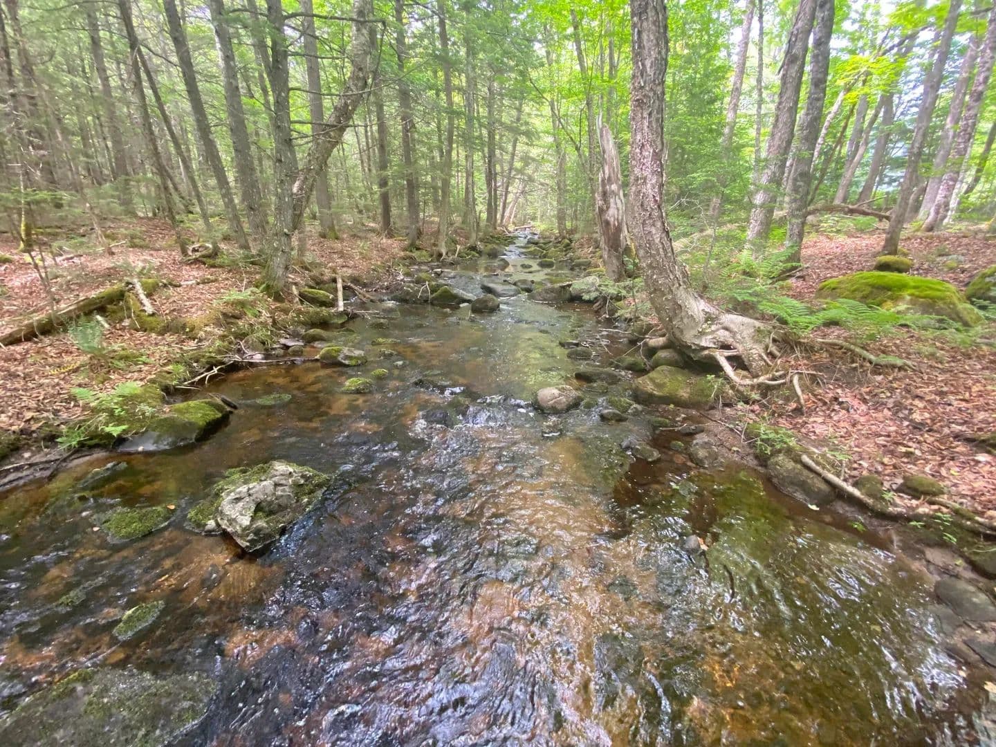 Lots & Land-Other in Lincoln - Lincoln, Maine, 04457