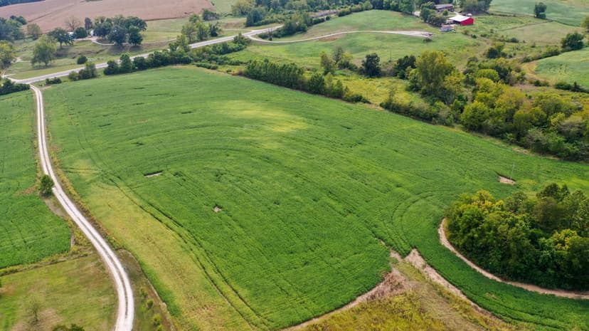 163 Acres, Elsberry, Lincoln County, MO