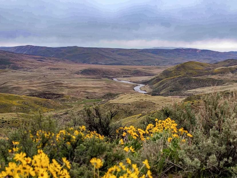 Mann Creek Valley Farm & Ranch