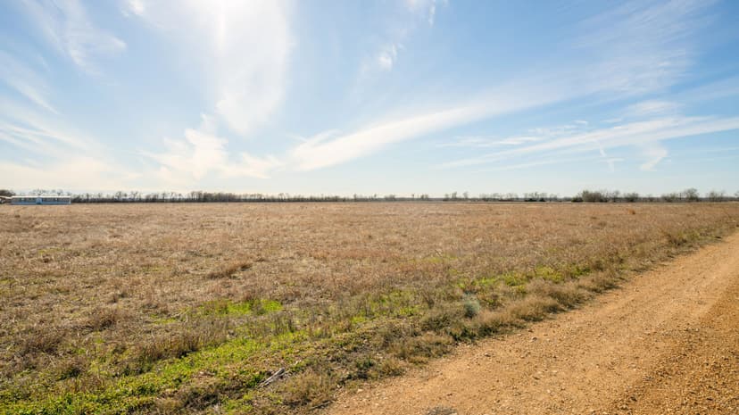 9.85 Acres in Milam County