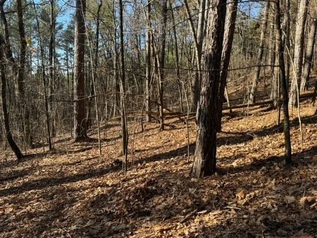 +/- 2.55 Acres on Mountain Mint Way in Salem, SC
