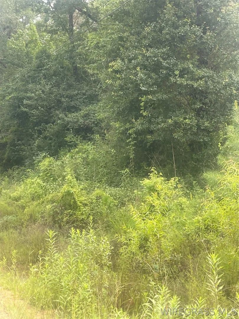 Vacant Land in Daleville - Daleville, Alabama, 36330