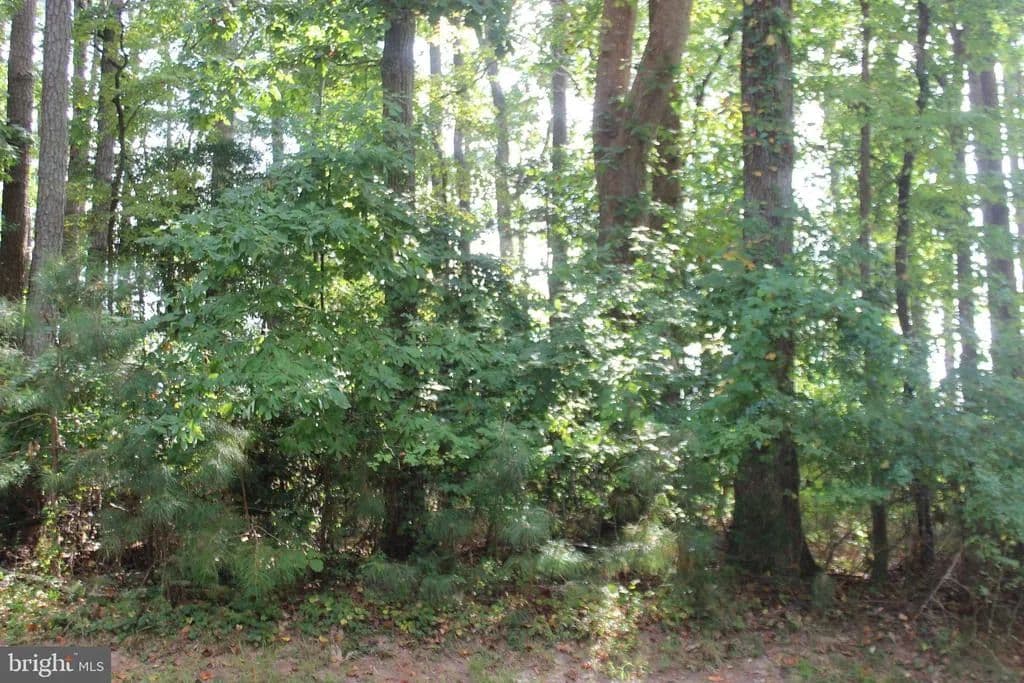 Property from 146 CAPTAINS CORRIDOR - KW - Greenbackville, Virginia, 23356