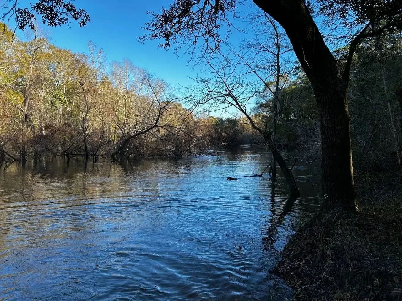 Ochlockonee River Place - Tallahassee, Florida, 32312