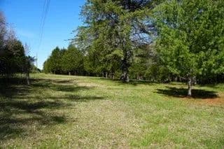 Property from 6790 Flat Creek Rd - KW - College Grove, Tennessee, 37046