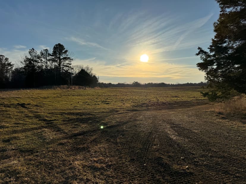 147 Acres in Marshall County, MS