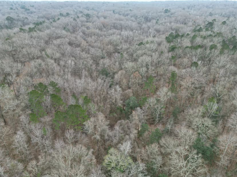 35.9 Acres in Adams County, MS