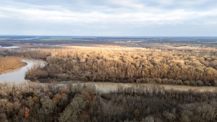 L 'Anguille River 55