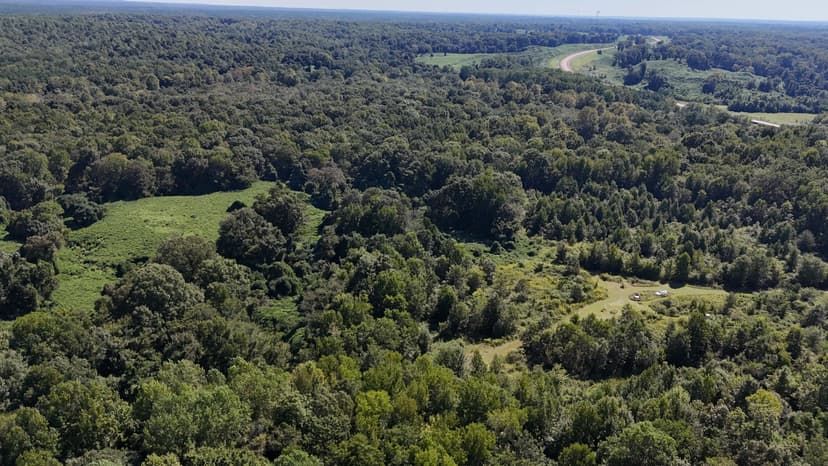 42 Acres in Holmes County, MS