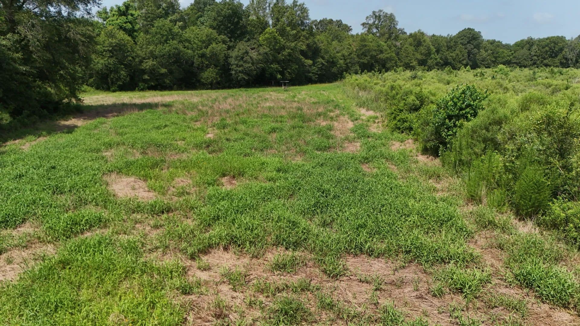 108 Acres in Franklin Parish, LA - Winnsboro, Louisiana, 71295