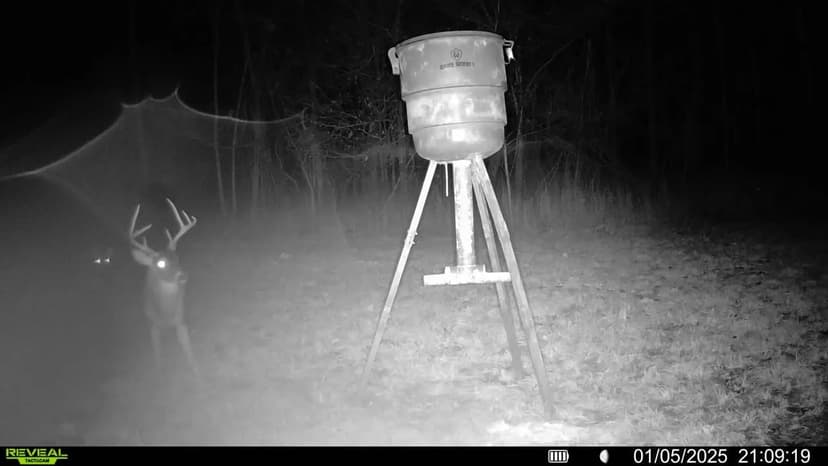 112 Acres With a Cabin in Carroll County, MS 112± Acres With a cabin Carroll County, MS