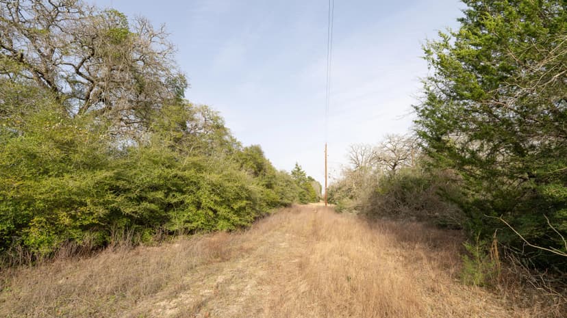 10.25 Acres in Milam County