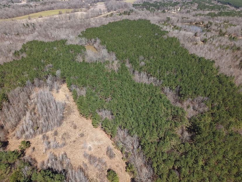 80 Acres in Marshall County, MS