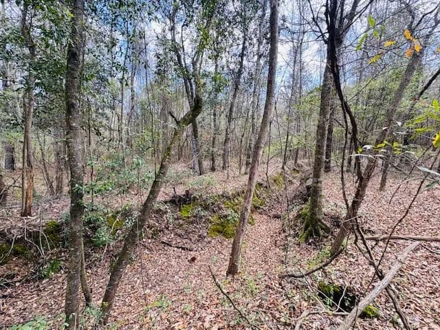70 Acres on Johnson Station Rd | Summit, MS