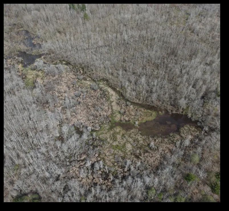 95.6 Acres in Newton County in Newton, MS