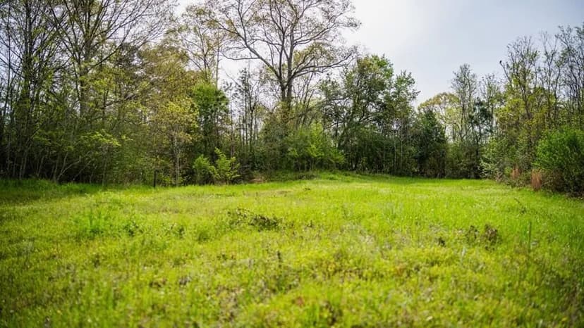 Affordable Property in Woodville, MS