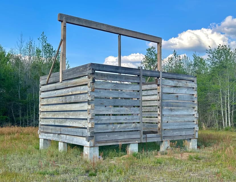 10 Acres in Wilcox County, GA