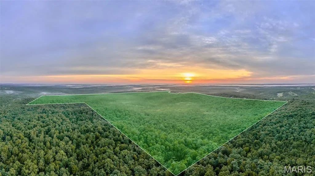 296 Acres of Land for Sale in Cabool, Missouri - Cabool, Missouri, 65689