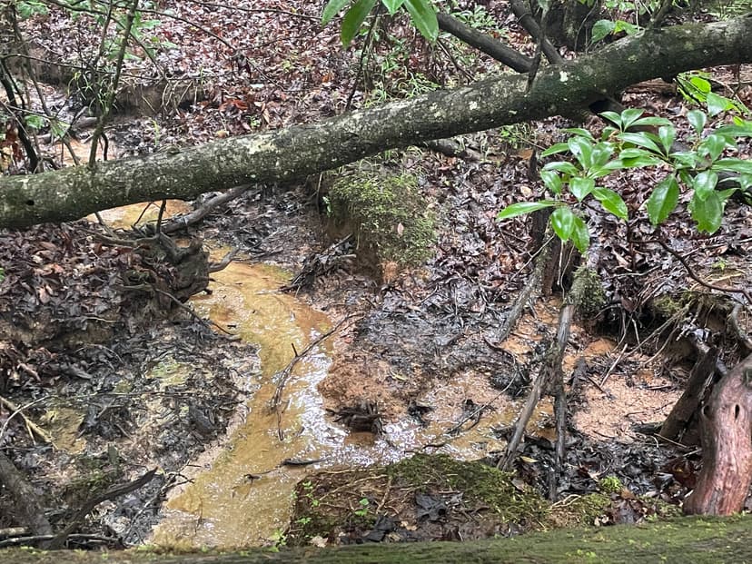 +/- 33.84 Acres - Tract 1 on N Little River Road in Tamassee, SC