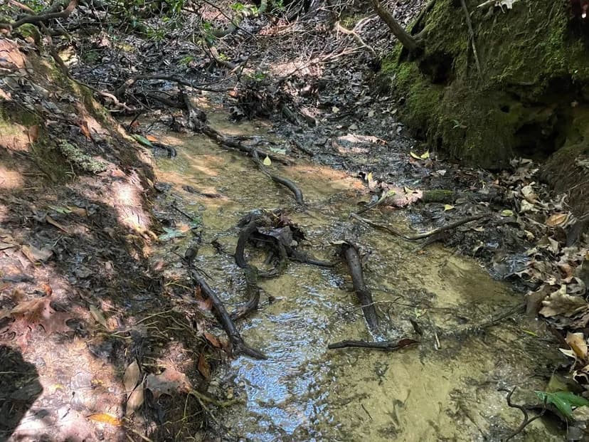 +/- 14 Acres – Tract 8 on Whitewater Point in Tamassee, SC