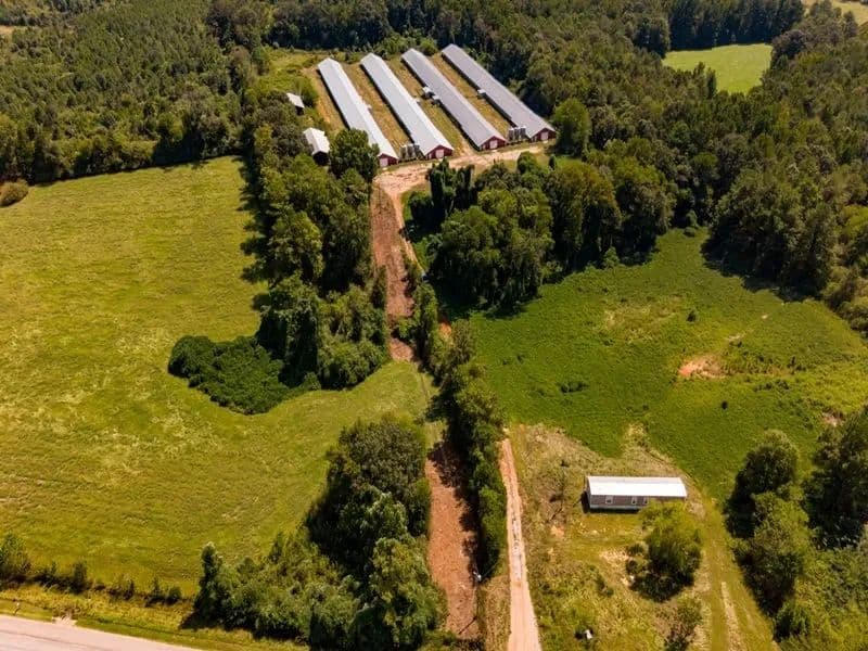 Decatur Broiler Farm – Four House Farm in Newton County, Mississippi - Decatur, Mississippi, 39327