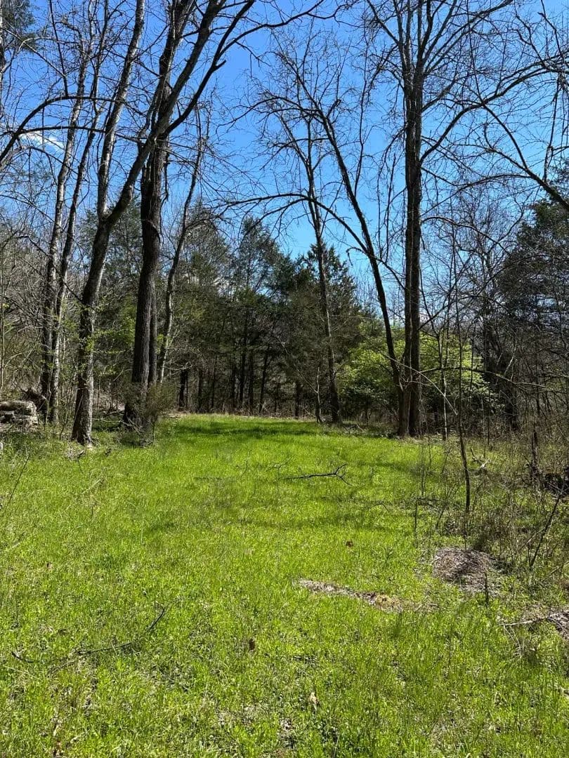 14.54 Acres – Ben Gentry Ln, Smith County, TN