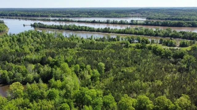 Beautiful New Home on the Alabama River