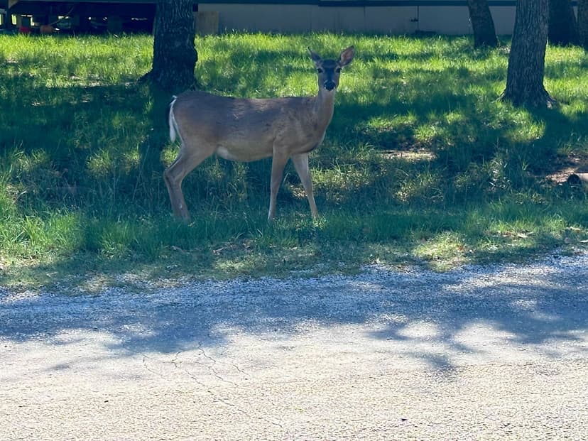 Price Reduction!!!! 4500 Iroquois Dr., Brown County