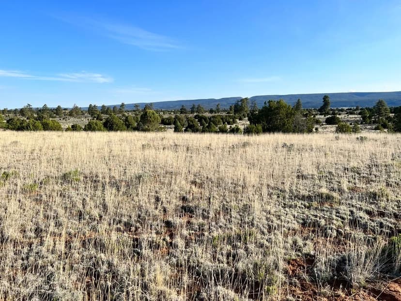 Trophy Elk Ranch Estate