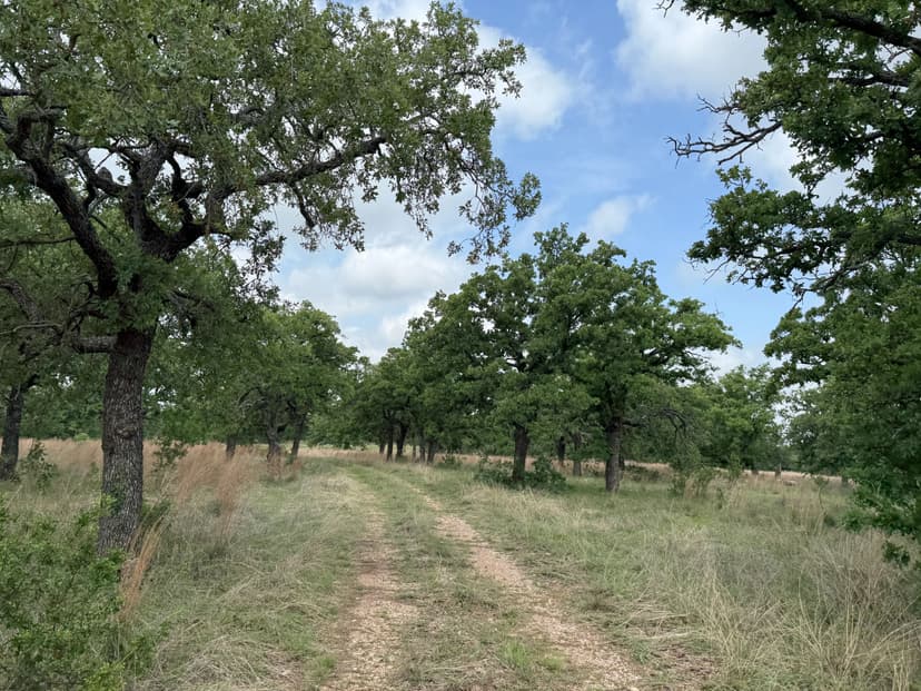257 +/- Acres....Views, Hunting, Water wells, Tanks, Oaks