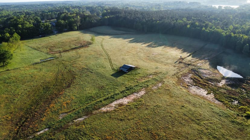 33.5 Acres of Pasture Land in Clarke County, MS