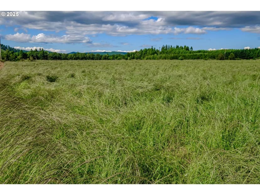 Productive Grass Seed Farm