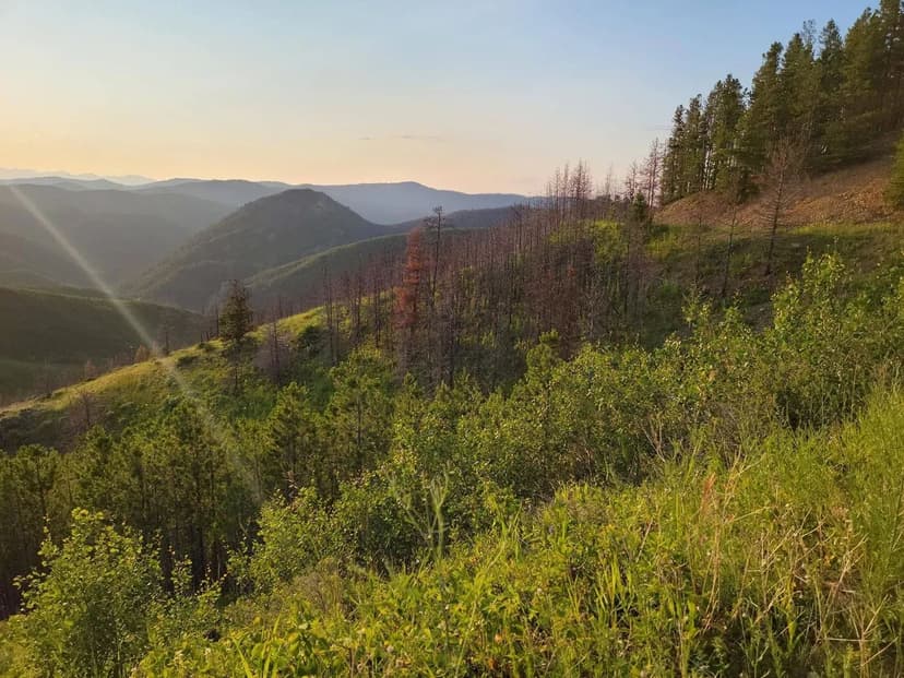 Zortman Landusky Gold Resource Property