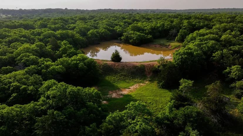 Timber Ridge Ranch 159.2 Acre in Bowie, Texas