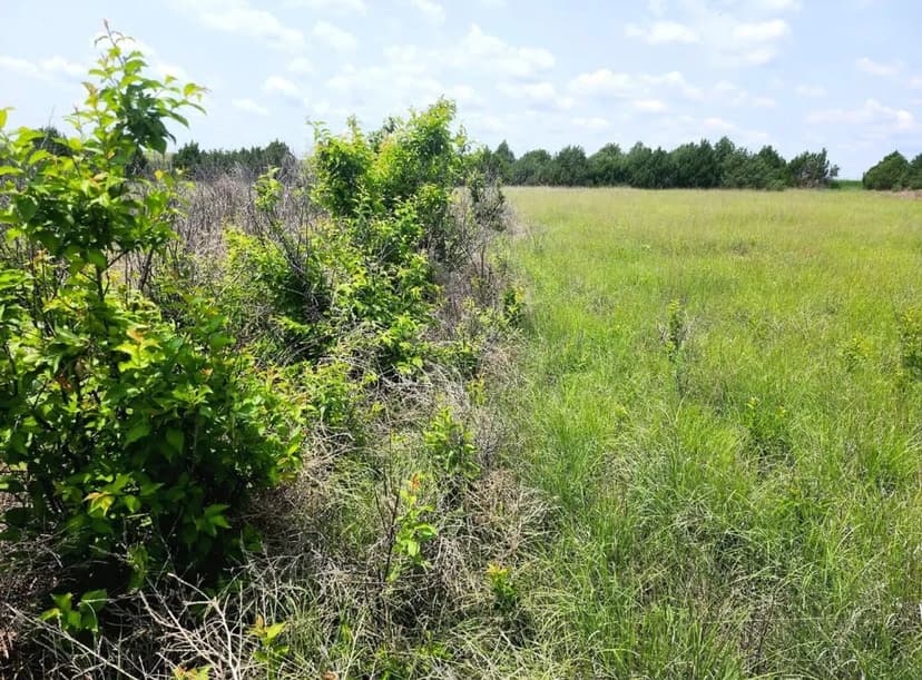 CRP Investment Parcel located in a Potential Wind Development Area