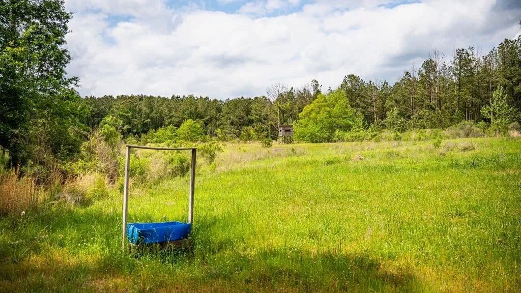 Crosby, MS Hunting Land by Homochitto National Forest - Crosby, Mississippi, 39633