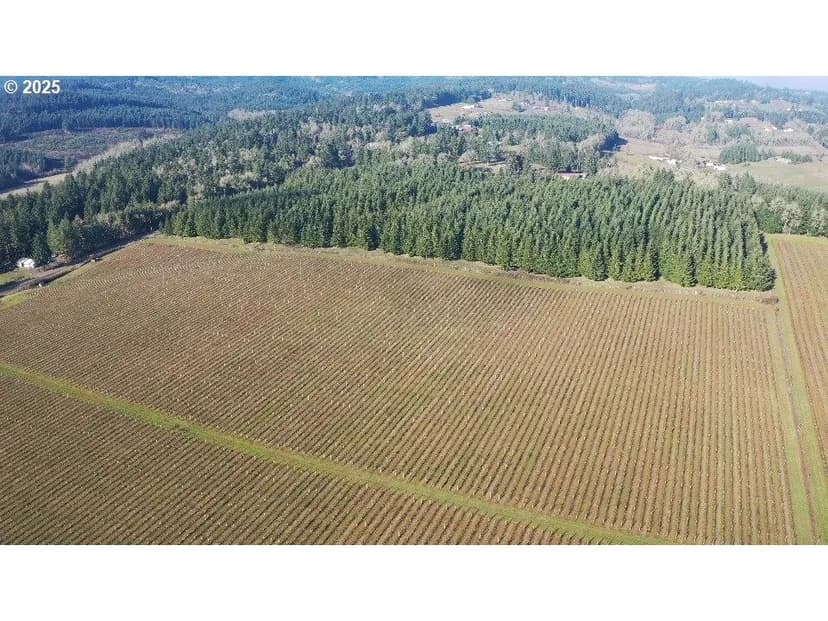 Willamette Valley AVA Vineyard